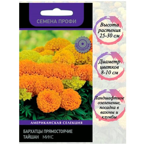 ������ ������ �������� ������������ ������ ���� ������ ����� 10 �� ����