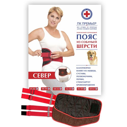 ������ ������ ���� �������� �� �������� ������ 