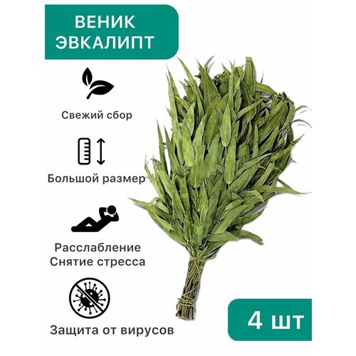 ������ ������ ����� ��� ���� ������������ �������, 4 ��. ����