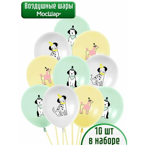 ������ ������ ����� ��������� ������� ������� 10 ���� ����