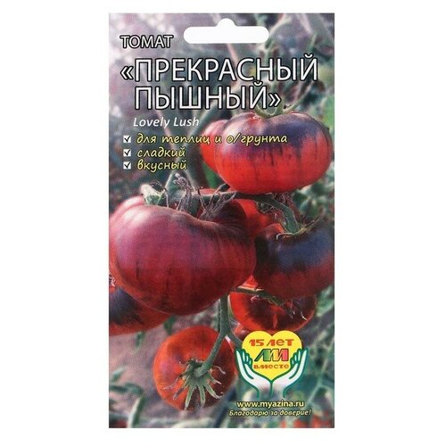 ������ ������ ����� ���������� ������ 5 ����� 1 �������� ����