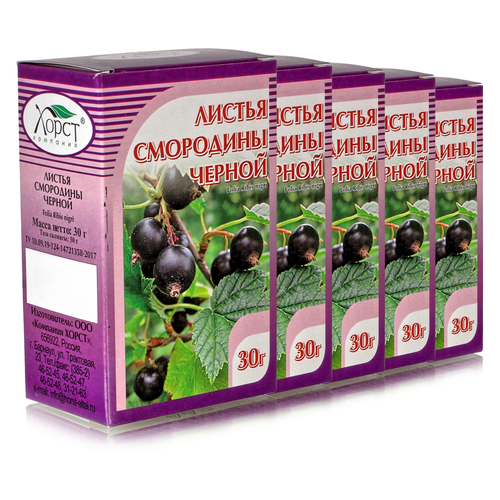 ������ ������ ��������� ������, ������ 30��, 5 �� ����