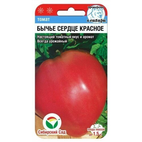 ������ ������ ������ ����� ����� ������ ������� 20�� ����� (��������� ���) ����