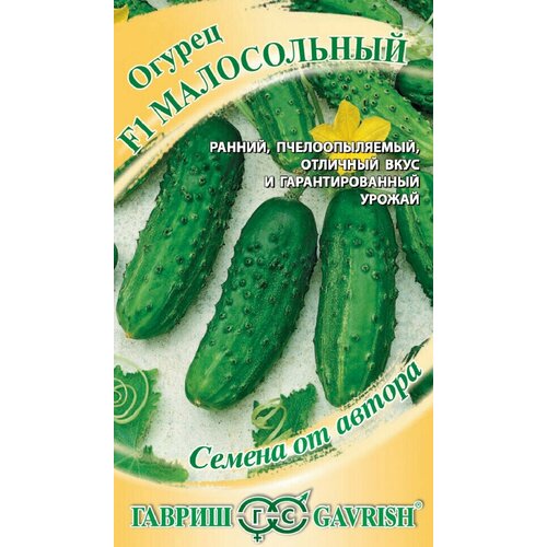 ������ ������ ������ ������ ����������� F1, 10��, ������, ������ �� ������ ����