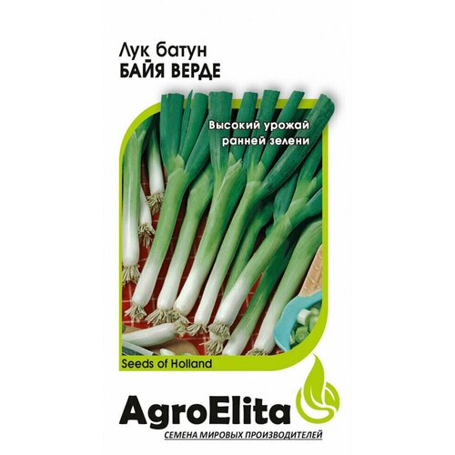 ������ ������ ������. ��� ����� 