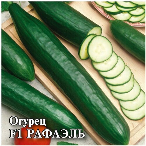 ������ ������ ������������� ������ ������ F1 ������� ����