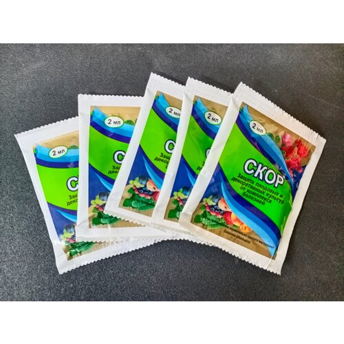 ������ ������ �������� ��� ������ �������� �� �������� ����, 5�� �� 2 �� ����