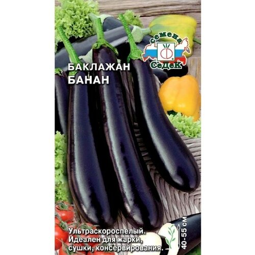 ������ ������ �������� 