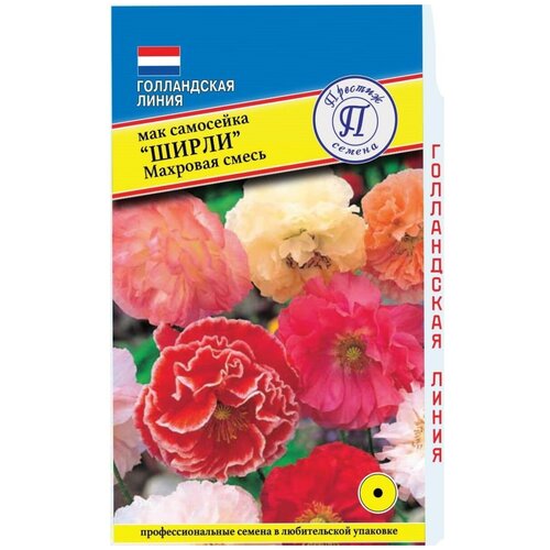 ������ ������ ������ ���� ��������� 