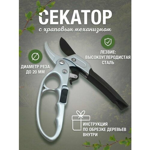 ������ ������ ������� ������� ���������������� / ������� � �������� ���������� ����