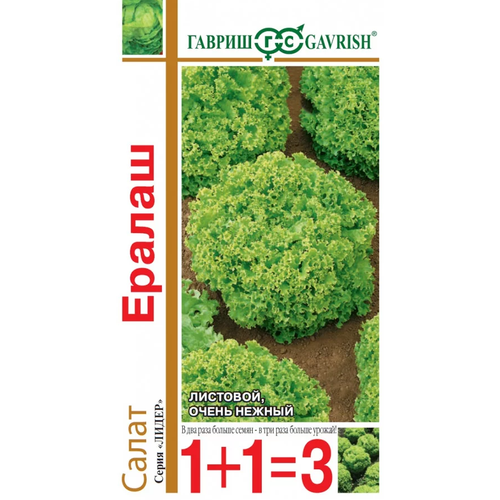 ������ ������ ����� �������� ������, ������ ������ ( 1 ��: 1 � ) ����