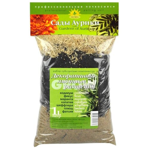 ������ ������ �������� ���� ������ �����������-������� ��������, 1 �, 0.85 �� ����