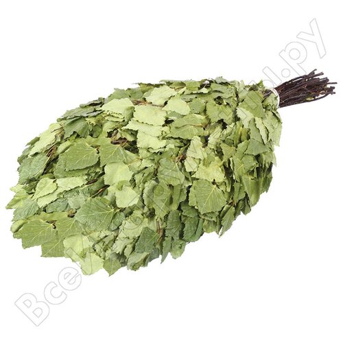 ������ ������ ����� ��� ���� ������ ������ ��������� ����