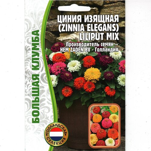 ������ ������ ����� ������� ����, ����������� ( 1 ��: 50 ����� ) ����