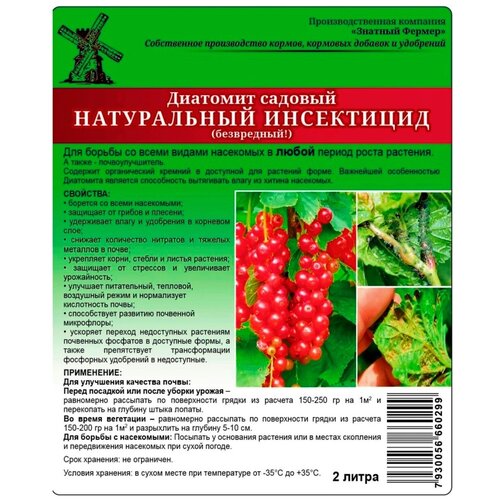 ������ ������ �������� ������� (2 �) ����