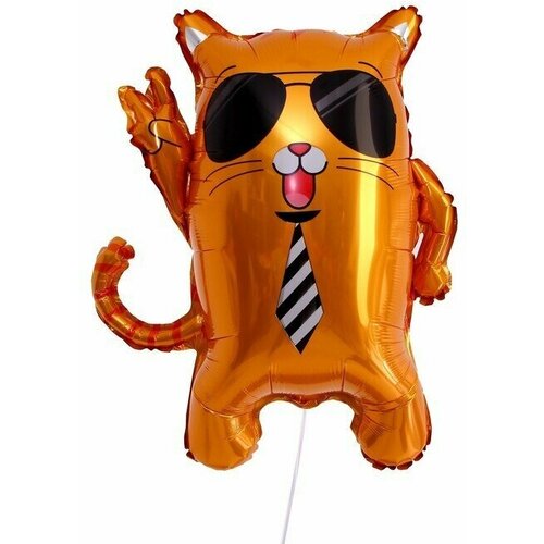 ������ ������ ��� �������������� 24