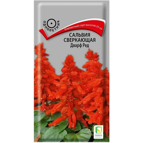 ������ ������ ������ ����� ������� ���������� ����� ��� 0.1 � ����