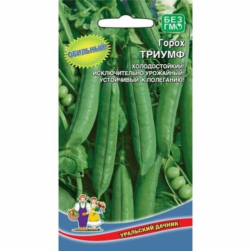 ������ ������ ������ ����� ������ 5� ����