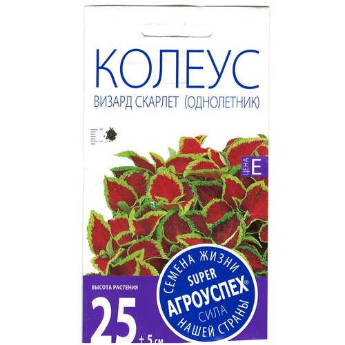 ������ ������ ������ ��������� 