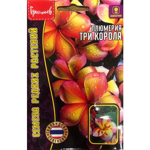 ������ ������ ������ �������� (����������) 