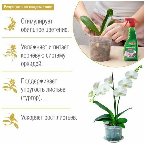 ������ ������ ���������-����� ��� ������� 500 �� ����