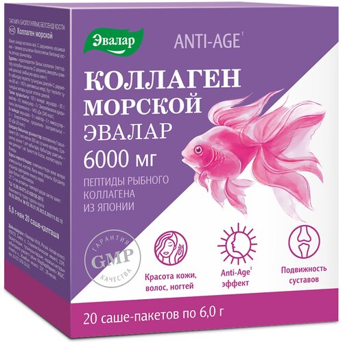 ������ ������ �������� ������� ���., 6 �, 6 �, 20 ��. ����