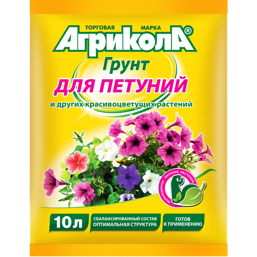 ������ ������ �������� ����� ��� ������� 10 � ����