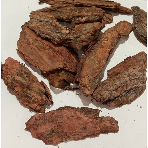 ������ ������ ���� ��������� �����������, 4-10 ��, 1 ����� 7 �� ����