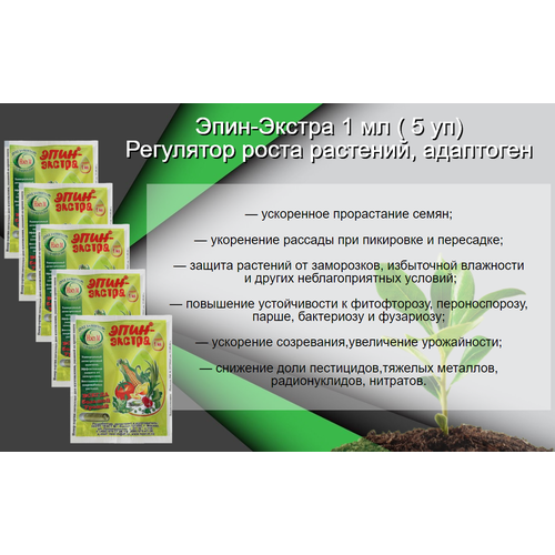 ������ ������ ����-������ 1 �� ( 5 ��) ��������� ����� �������� ��������� ����