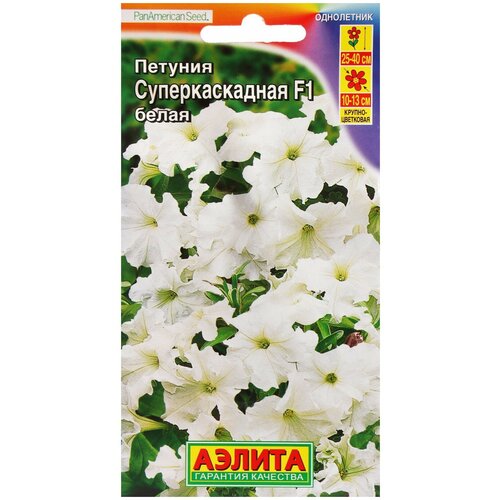 ������ ������ ������ ��������� ������ ������� �������������� F1 ����� 10 ��. (����� � ��������) ����