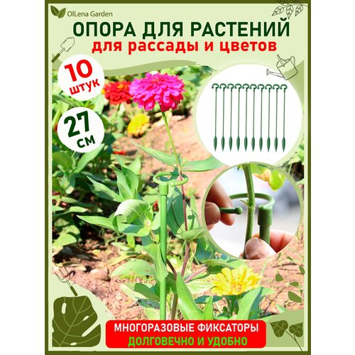 ������ ������ OlLena Garden / ����� ��� �������� � ������� � ������������, ����� ����������� �������� � �������, 27�� / 10 ��. ����