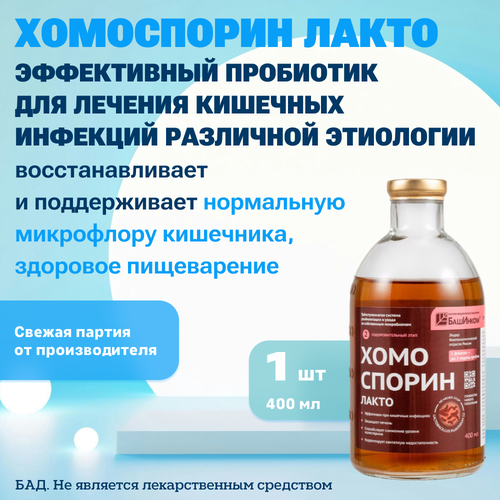 ������ ������ ���������� ����� 400�� ��������� ��� ��� ����