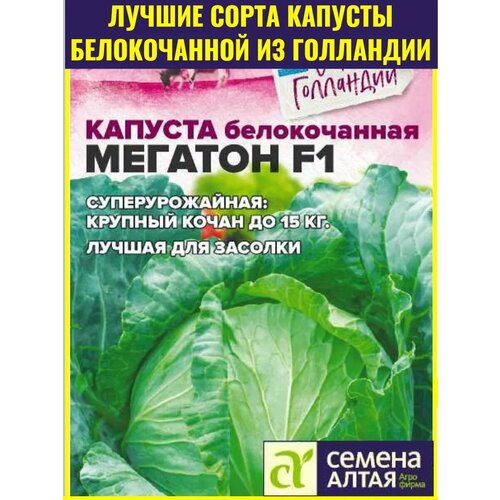 ������ ������ ������ ������� ������� F1 ����