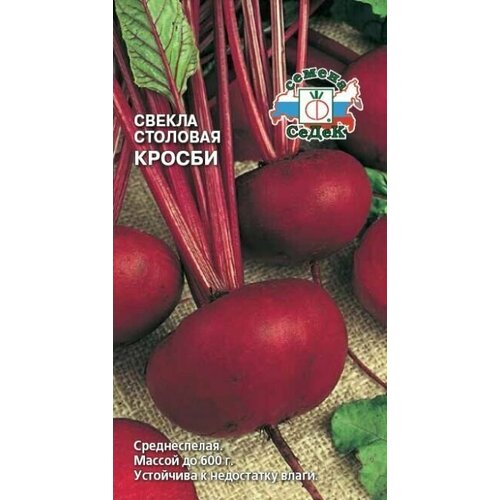 ������ ������ ������ ������ ����� ����