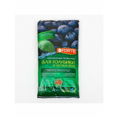 ������ ������ ����� ���� ����� ��� �������� � ������ ����, 20 � ����