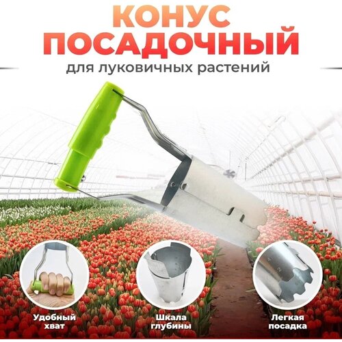 ������ ������ ����� ���������� � ���������� ���������� ����