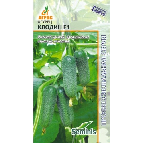 ������ ������ ������ ������ ������ (�������) F1 �������� 8�� ������������������ (�����) ����