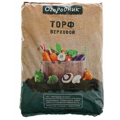 ������ ������ ���� ��������� ��������, 9 �. ����