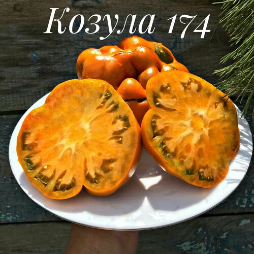 ������ ������ ������������� ������ ������ ������ 174 ����