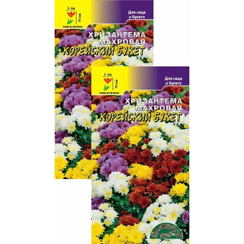 ������ ������ ���������� �������� ��������� ����� (0,02 �), 2 ������ ����