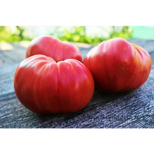 ������ ������ ������������� ������ ������ ������������� ������ ������ ����