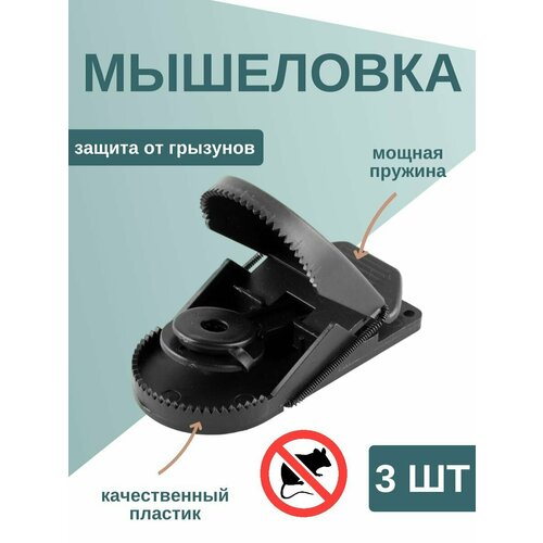 ������ ������ 3 ��������� - ������ ������������ ������� ��� ����� ����