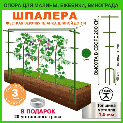 ������ ������ ����� ��� ��������, ������� ������� ����