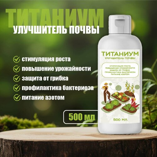 ������ ������ �������� ��� ��������� ����� �������� 500�� ����