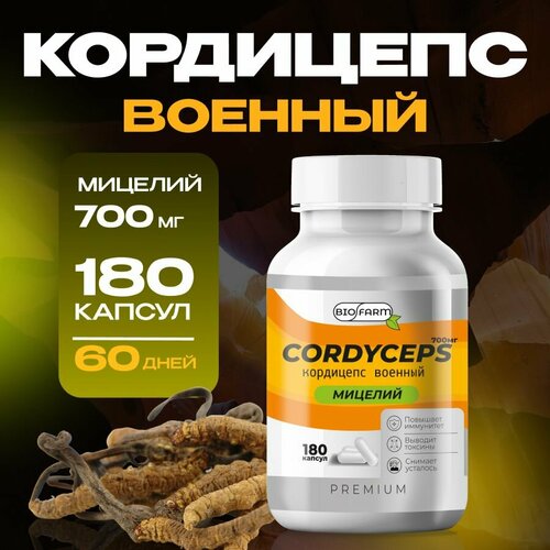 ������ ������ ��������� ������� � �������� 700��, �������� ��� ���������� � ������ ����