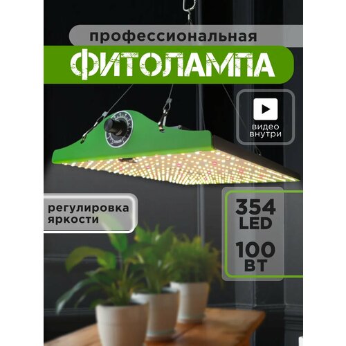 ������ ������ ��������� 100�� Quantum Board �� ������ �������� ����