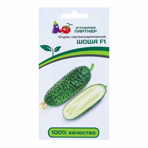 ������ ������ ������ ������ 