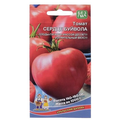 ������ ������ ������ ����� 