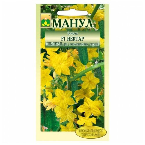 ������ ������ ������ ����� 