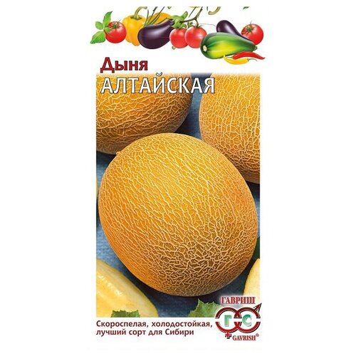 ������ ������ ������ ������ ���� ��������� 1 � ����